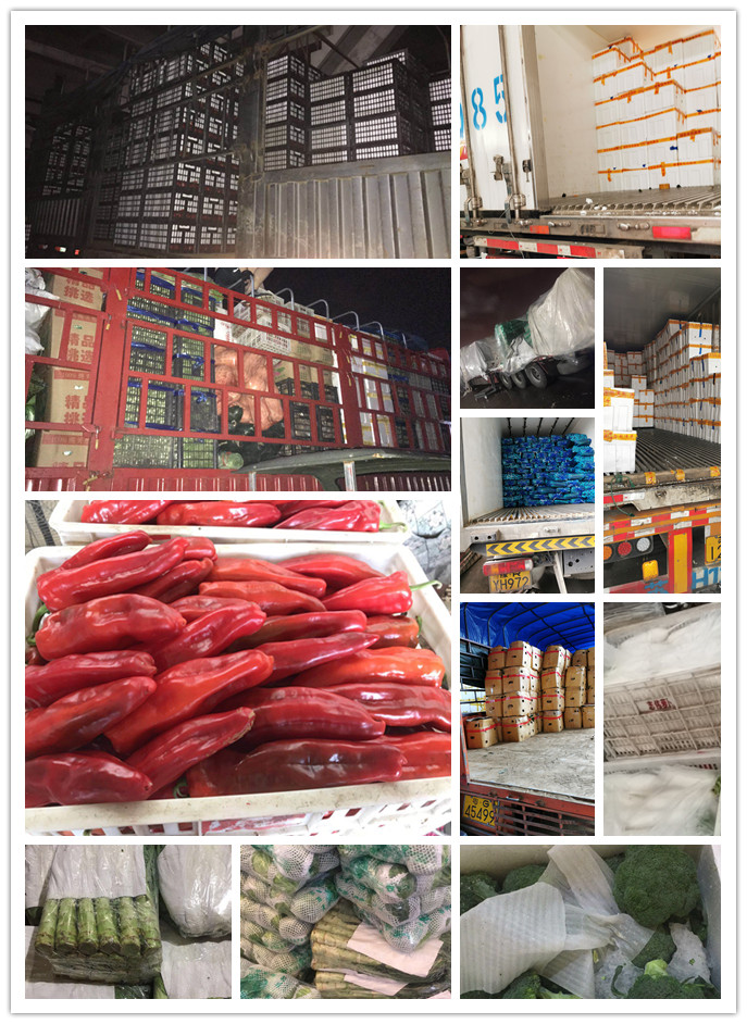 必发7790(中国区)电子集团-线上平台登录入口