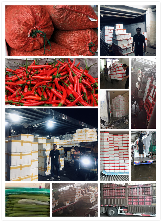 必发7790(中国区)电子集团-线上平台登录入口