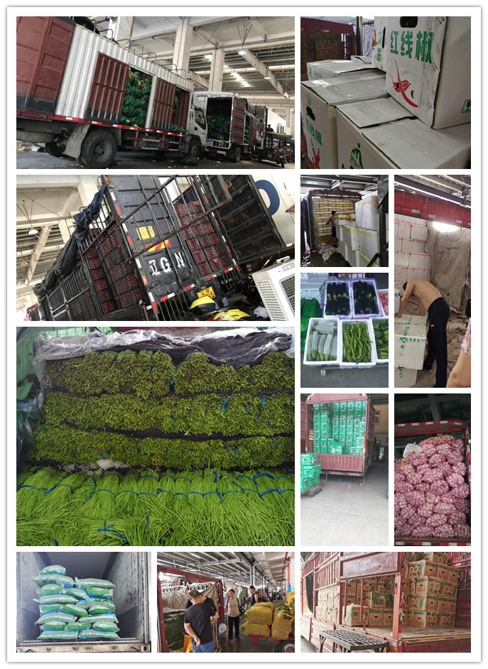 必发7790(中国区)电子集团-线上平台登录入口