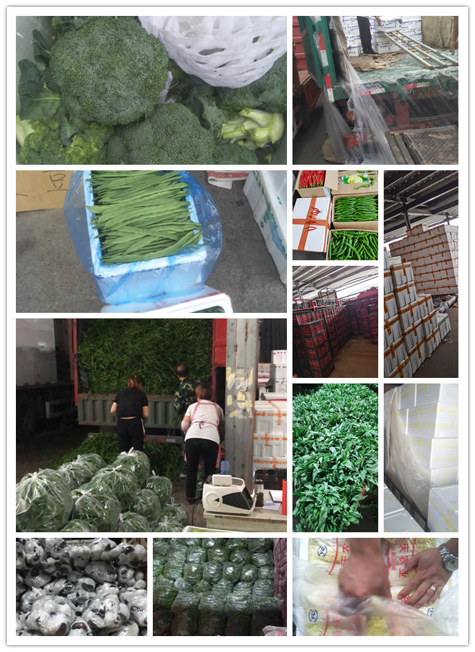 必发7790(中国区)电子集团-线上平台登录入口