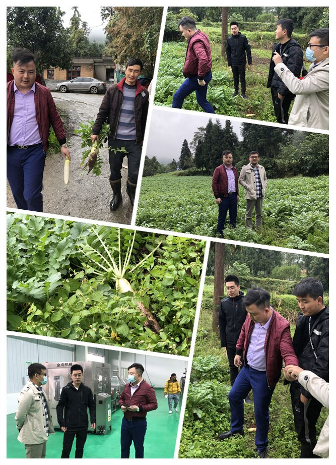 必发7790(中国区)电子集团-线上平台登录入口