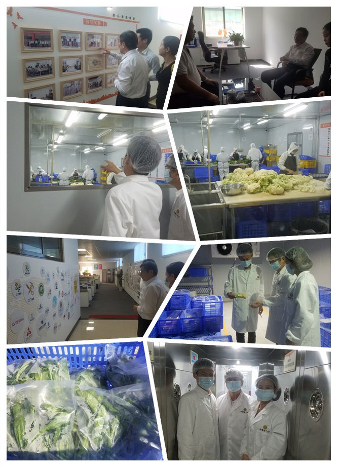 必发7790(中国区)电子集团-线上平台登录入口