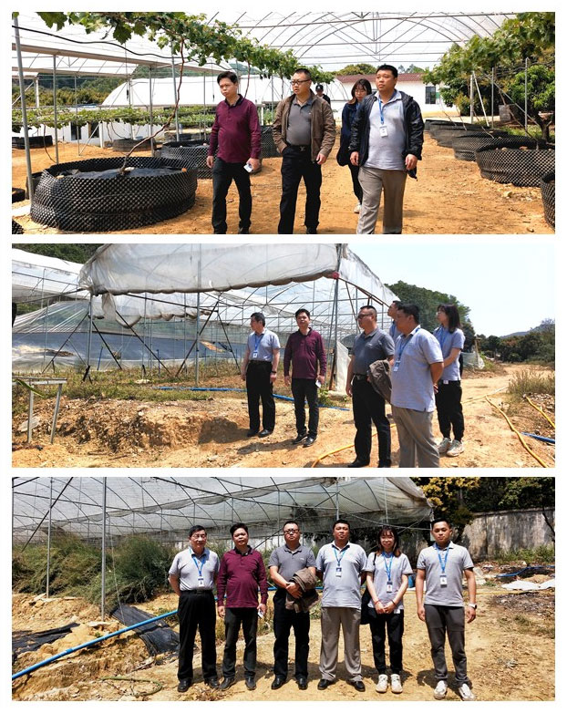 必发7790(中国区)电子集团-线上平台登录入口