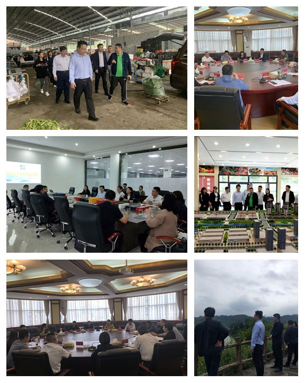 必发7790(中国区)电子集团-线上平台登录入口