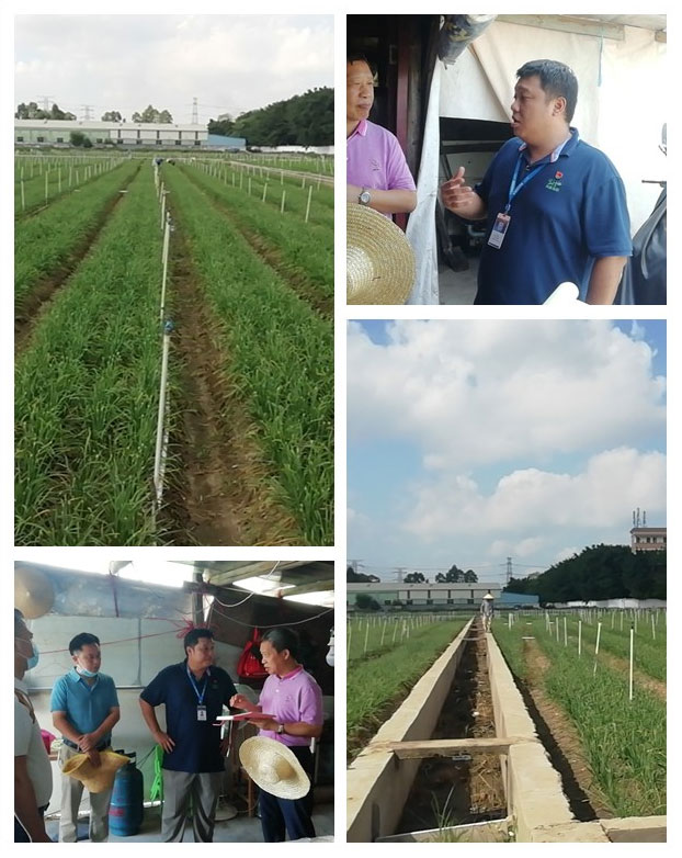 必发7790(中国区)电子集团-线上平台登录入口