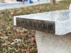 集团党支部落实大花园经济联社“民生微项目”，，，提升住民群众幸福感