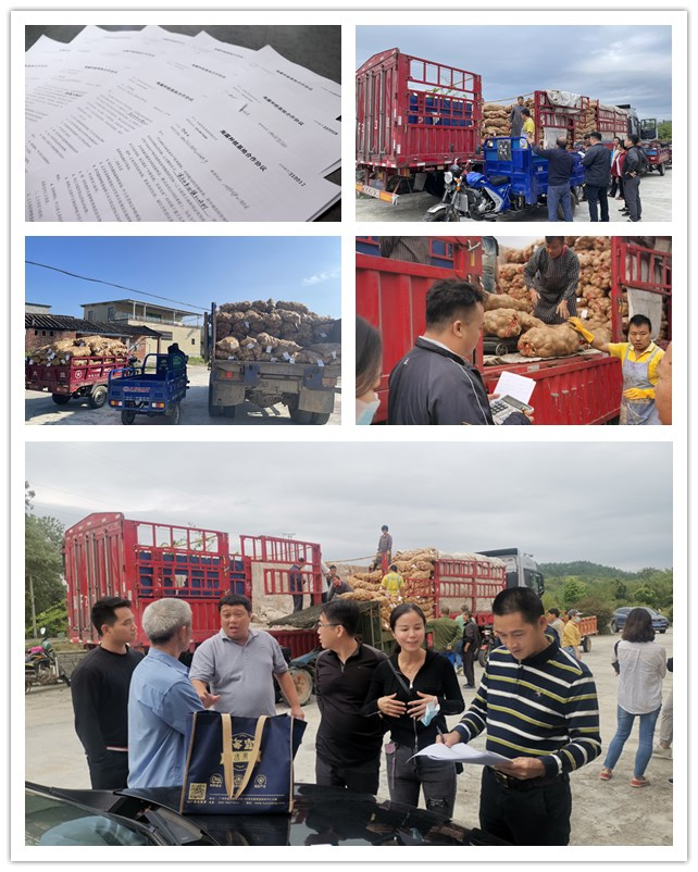 必发7790(中国区)电子集团-线上平台登录入口