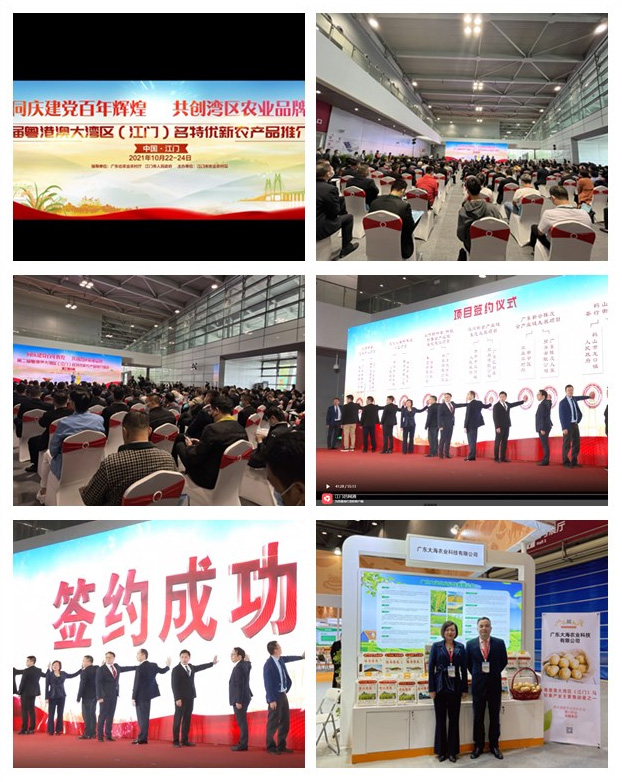 必发7790(中国区)电子集团-线上平台登录入口