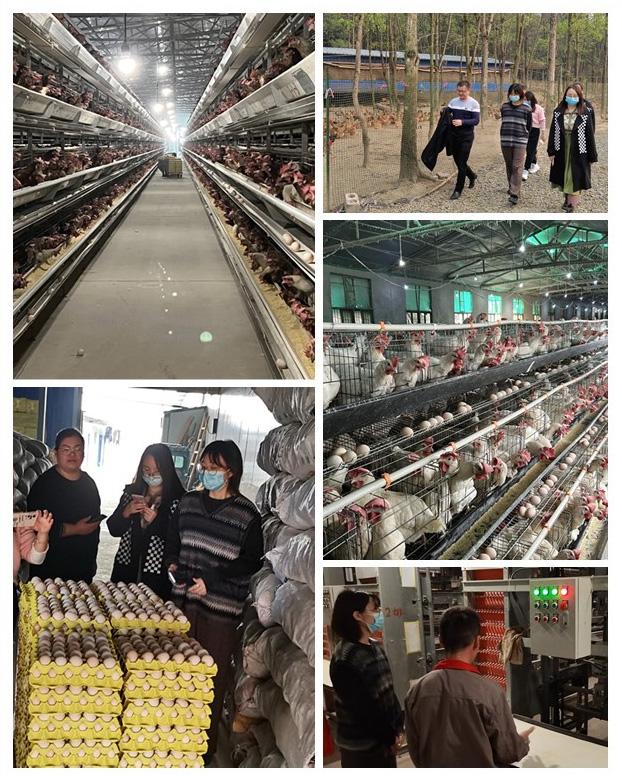 必发7790(中国区)电子集团-线上平台登录入口