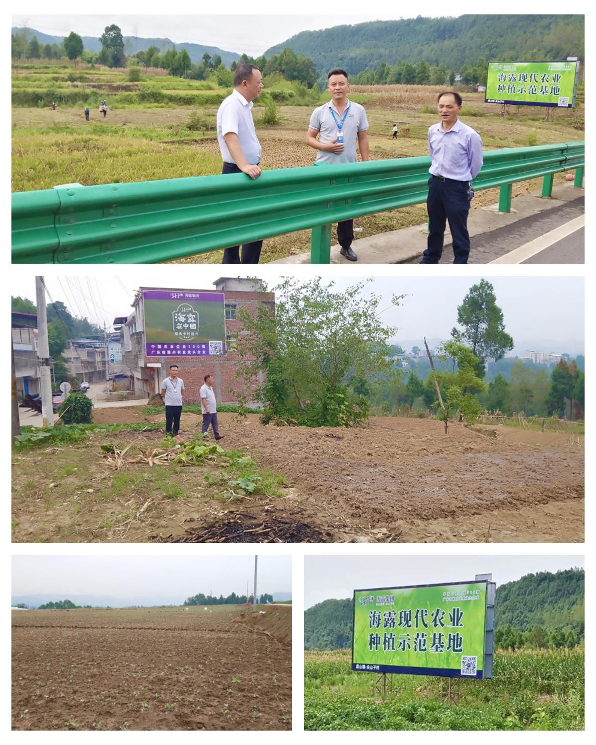 必发7790(中国区)电子集团-线上平台登录入口