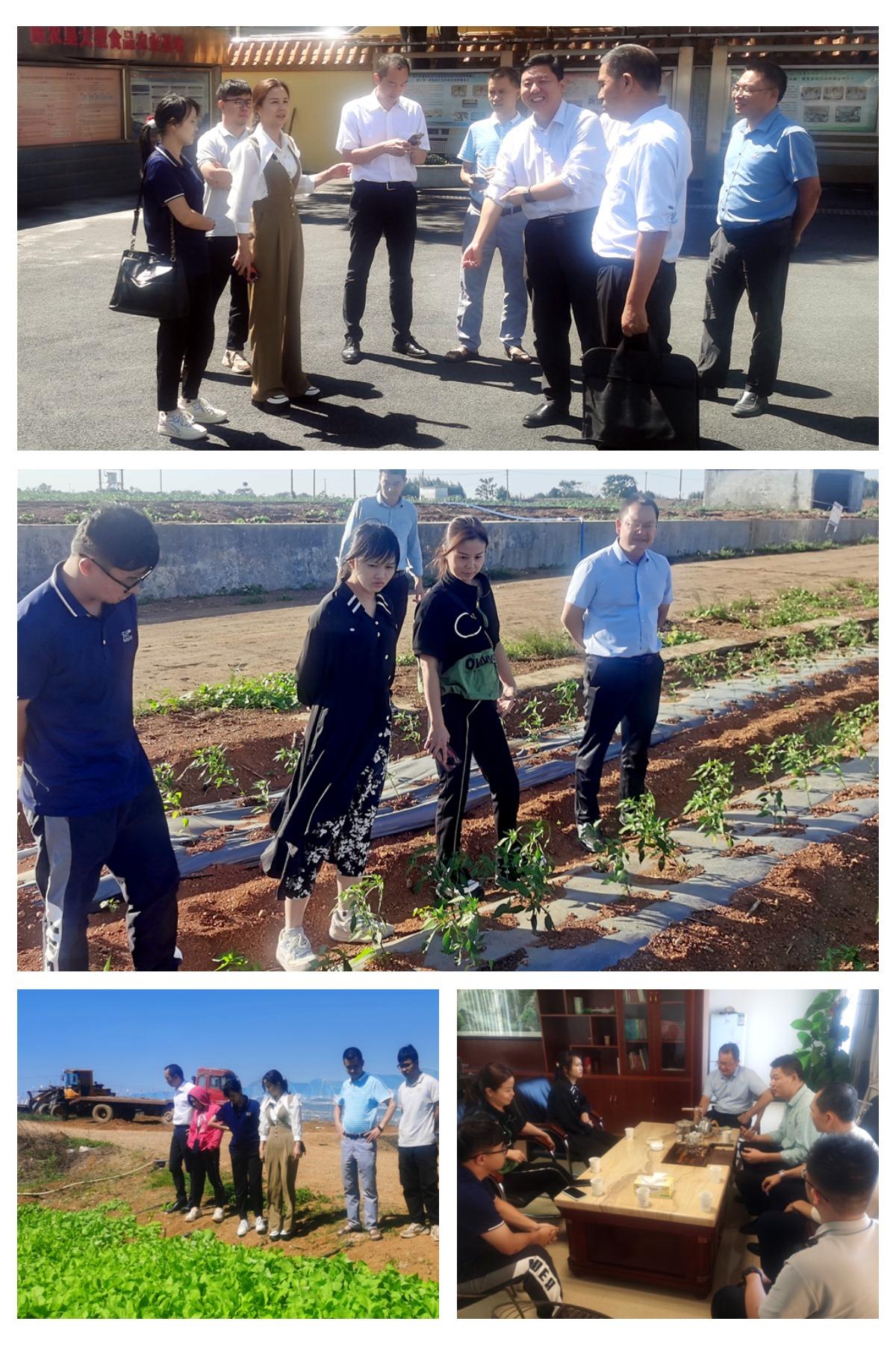 必发7790(中国区)电子集团-线上平台登录入口