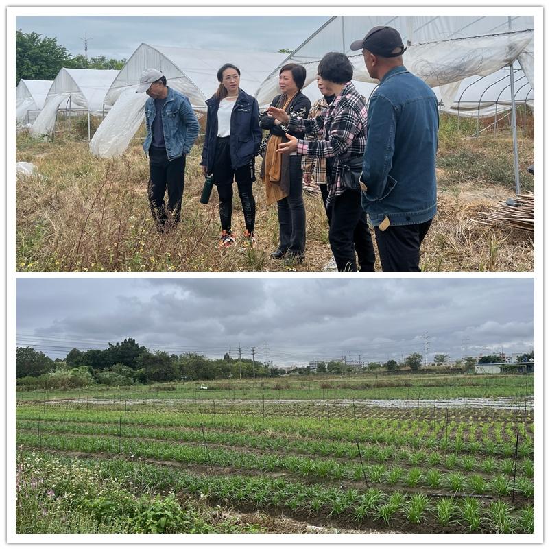 必发7790(中国区)电子集团-线上平台登录入口