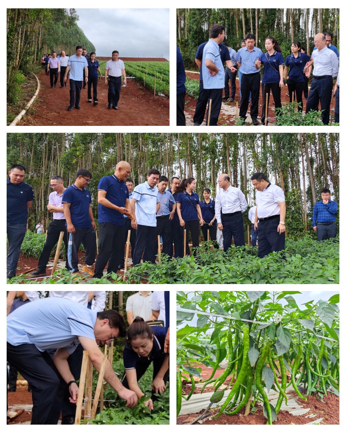 必发7790(中国区)电子集团-线上平台登录入口
