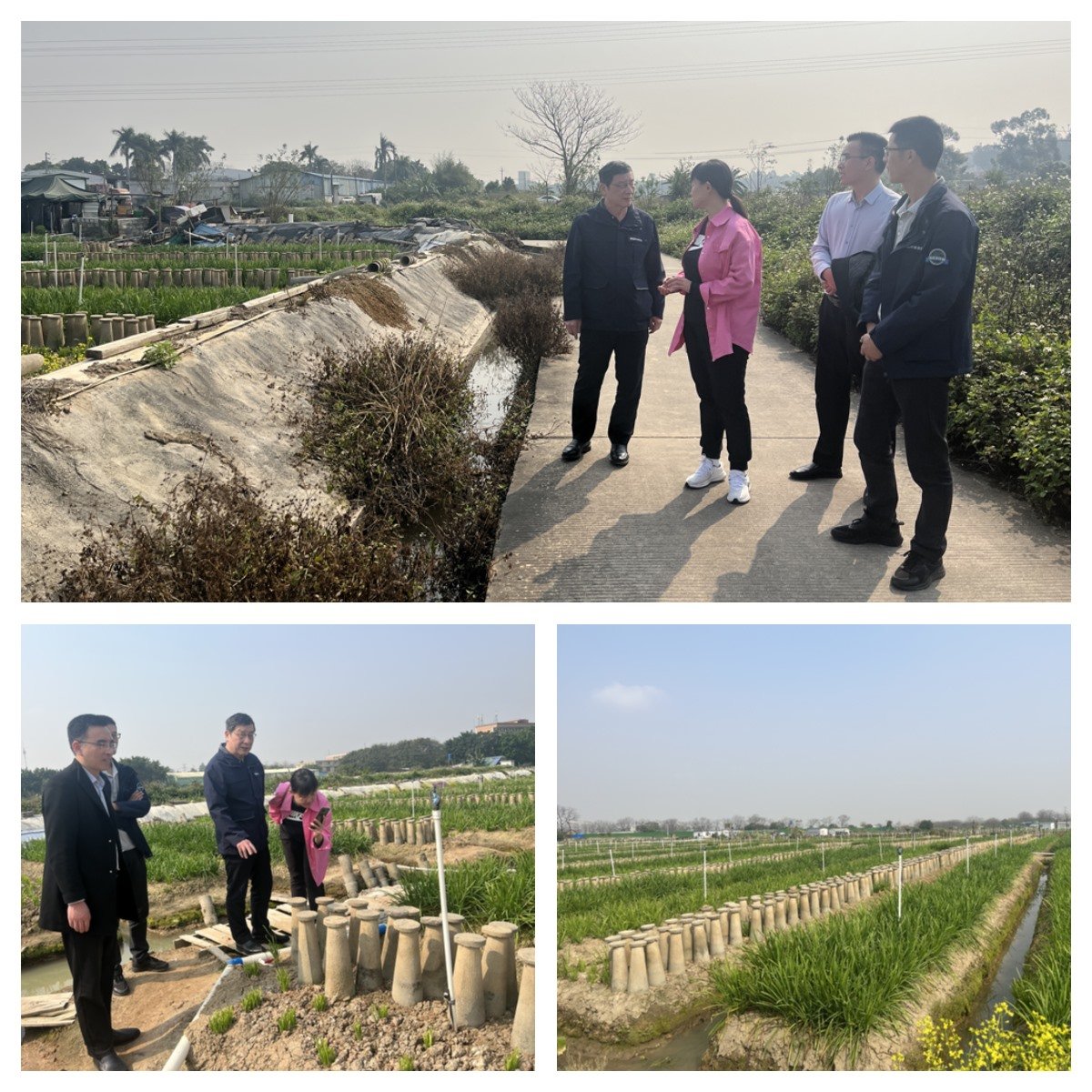 必发7790(中国区)电子集团-线上平台登录入口