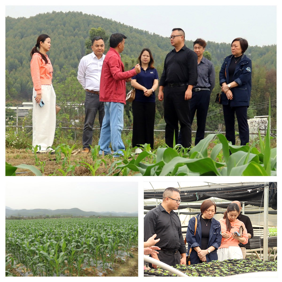 必发7790(中国区)电子集团-线上平台登录入口