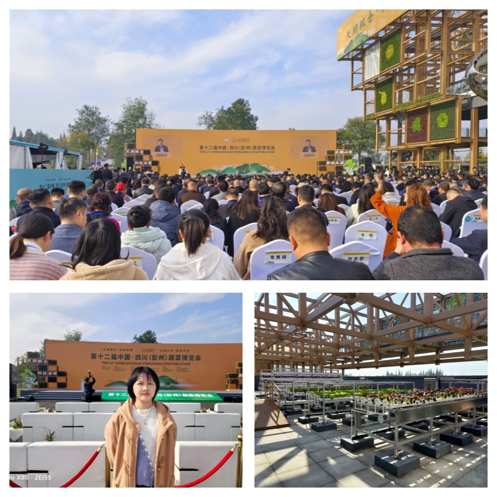 必发7790(中国区)电子集团-线上平台登录入口