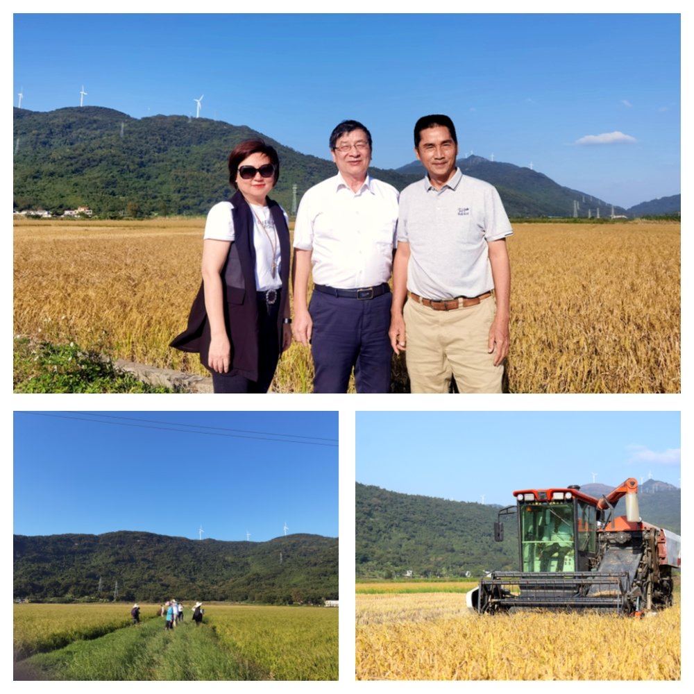 必发7790(中国区)电子集团-线上平台登录入口