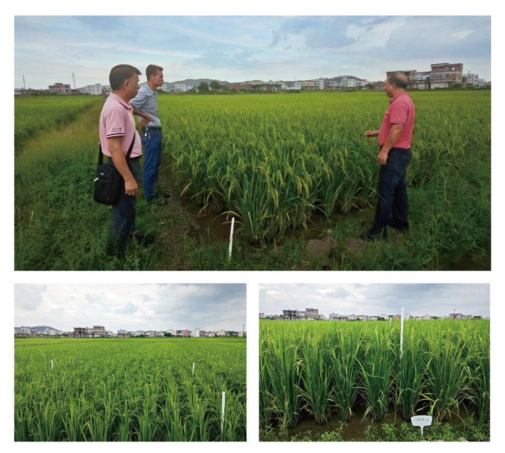 必发7790(中国区)电子集团-线上平台登录入口