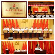 集团党支部荣获荔湾区工业链非公企业“头雁”党组织称呼