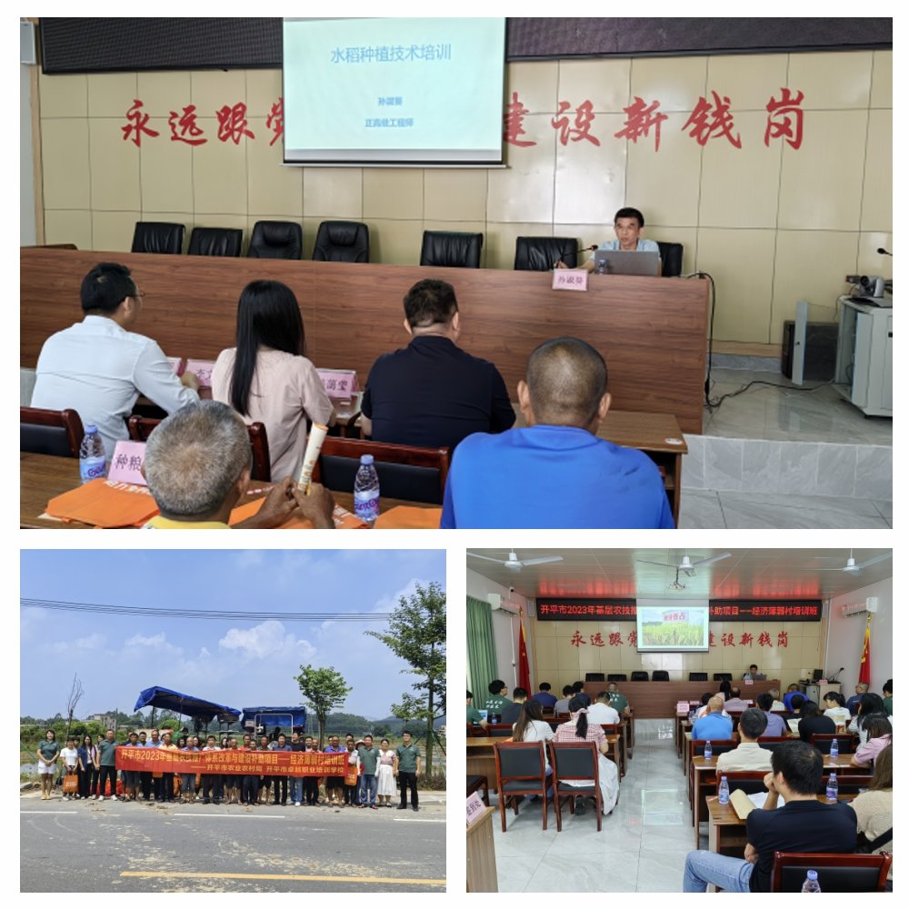 必发7790(中国区)电子集团-线上平台登录入口