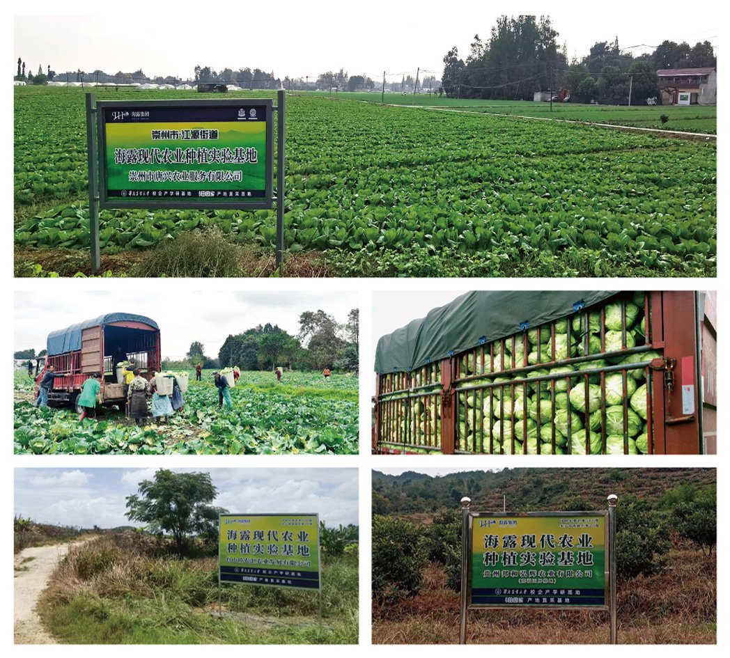 必发7790(中国区)电子集团-线上平台登录入口