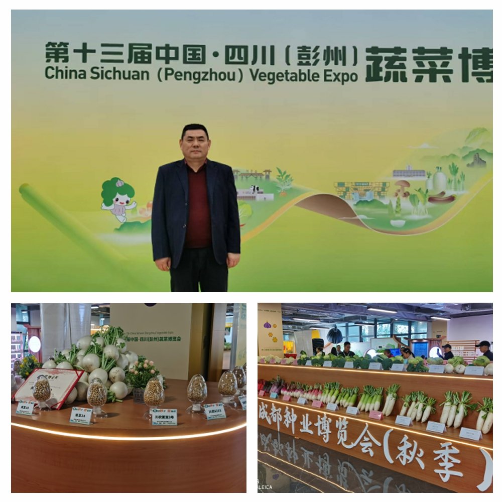 必发7790(中国区)电子集团-线上平台登录入口