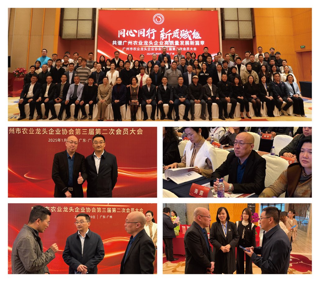 必发7790(中国区)电子集团-线上平台登录入口