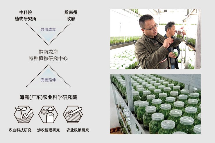 必发7790(中国区)电子集团-线上平台登录入口