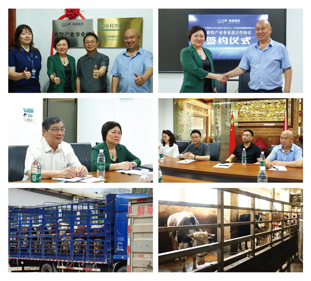 必发7790(中国区)电子集团-线上平台登录入口