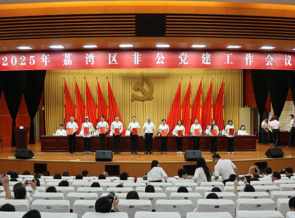 集团党支部荣获荔湾区“红荔金点团”优异团队