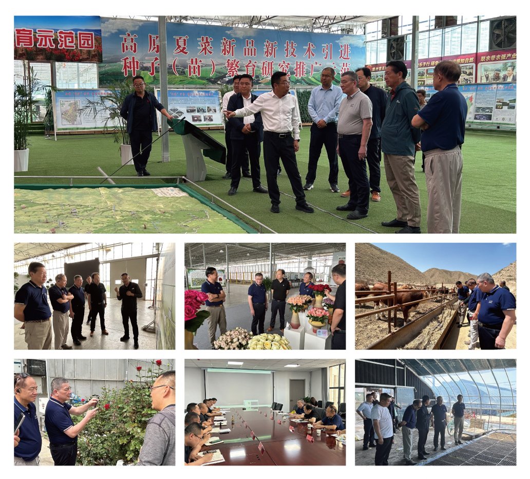 必发7790(中国区)电子集团-线上平台登录入口