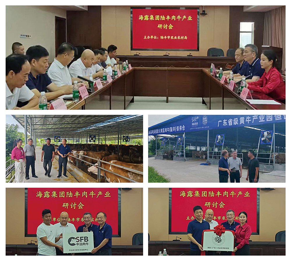 必发7790(中国区)电子集团-线上平台登录入口