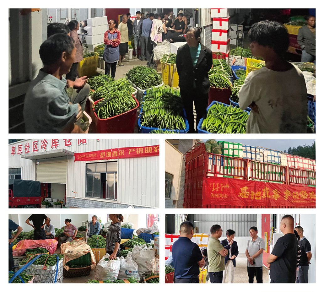 必发7790(中国区)电子集团-线上平台登录入口