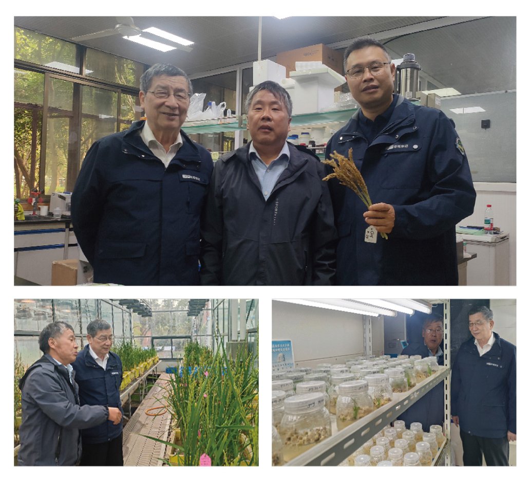 必发7790(中国区)电子集团-线上平台登录入口