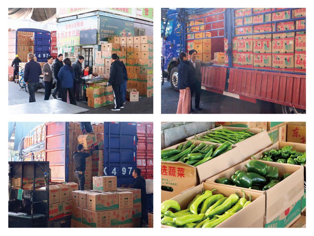 必发7790(中国区)电子集团-线上平台登录入口