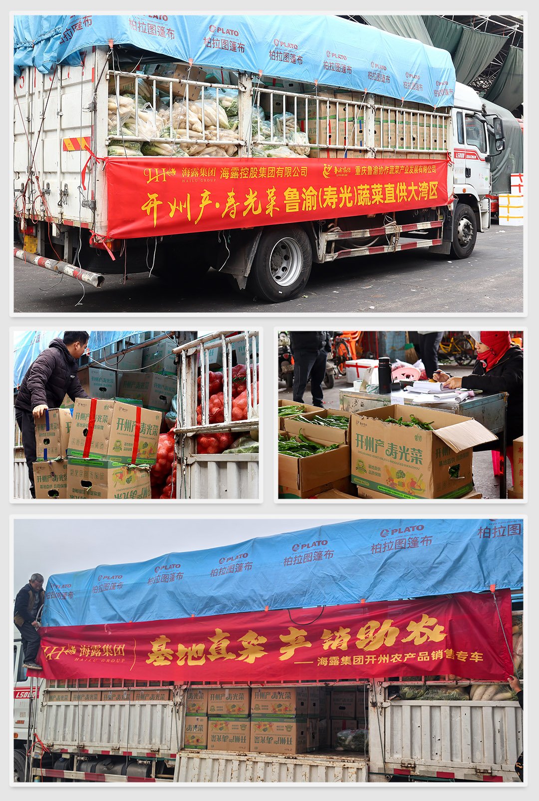 必发7790(中国区)电子集团-线上平台登录入口