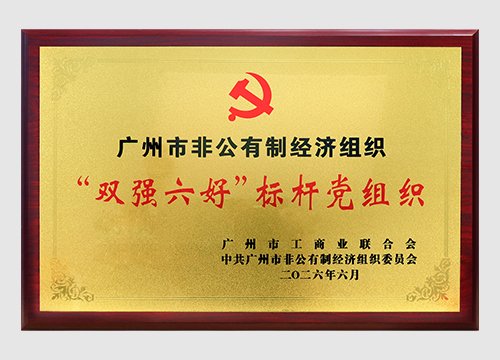 2024年至2026年连续三年斩获“双强六好”标杆党组织称呼
